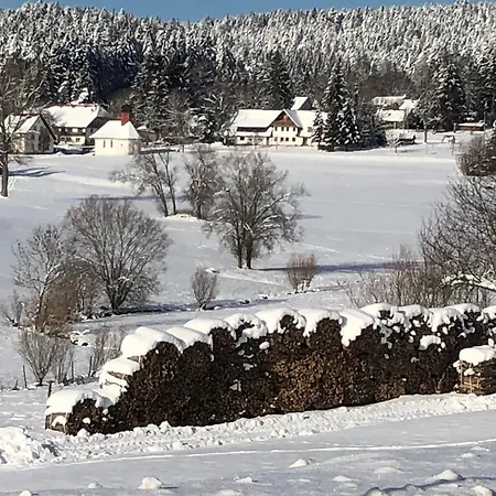 Schellenberg *