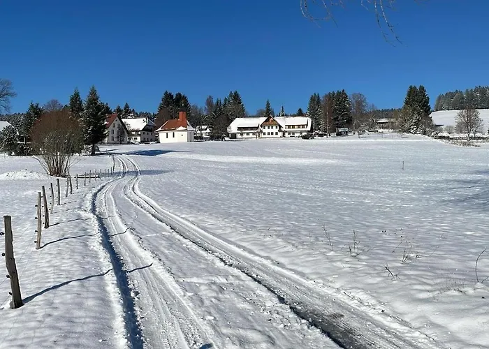 Lägenhet Schellenberg Herrischried